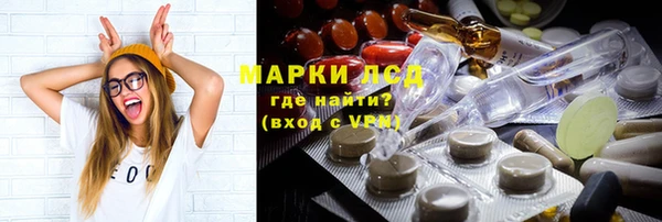 прущие грибы Богородск