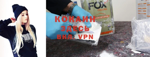 крисы Богородицк
