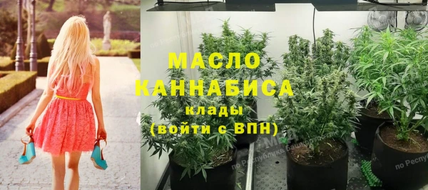 крисы Богородицк