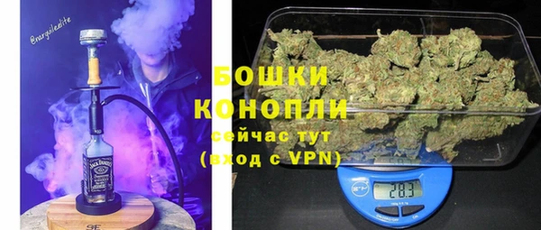 крисы Богородицк
