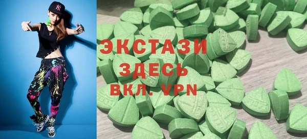 крисы Богородицк