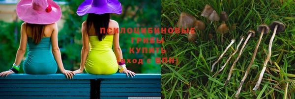 крисы Богородицк