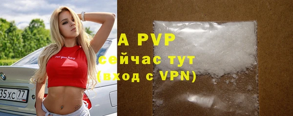 прущие грибы Богородск