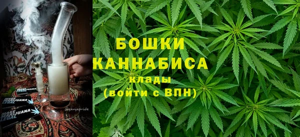 прущие грибы Богородск