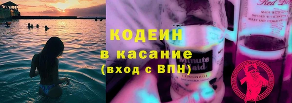 крисы Богородицк
